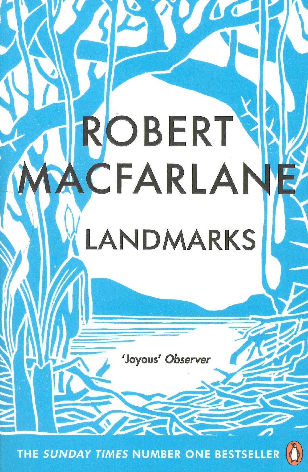 Landmarks by Robert MacFarlane