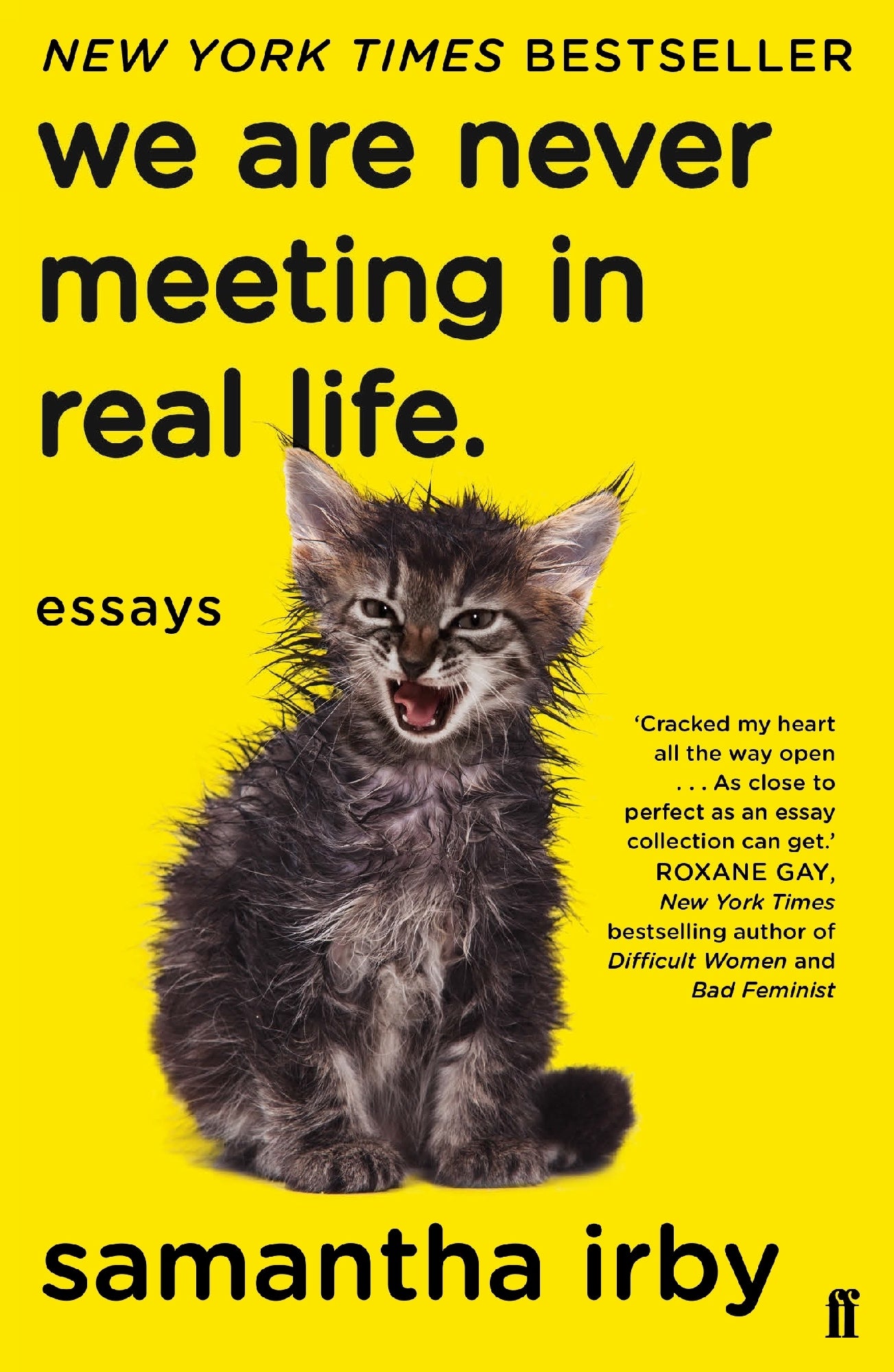We Are Never Meeting in Real Life by Samantha Irby