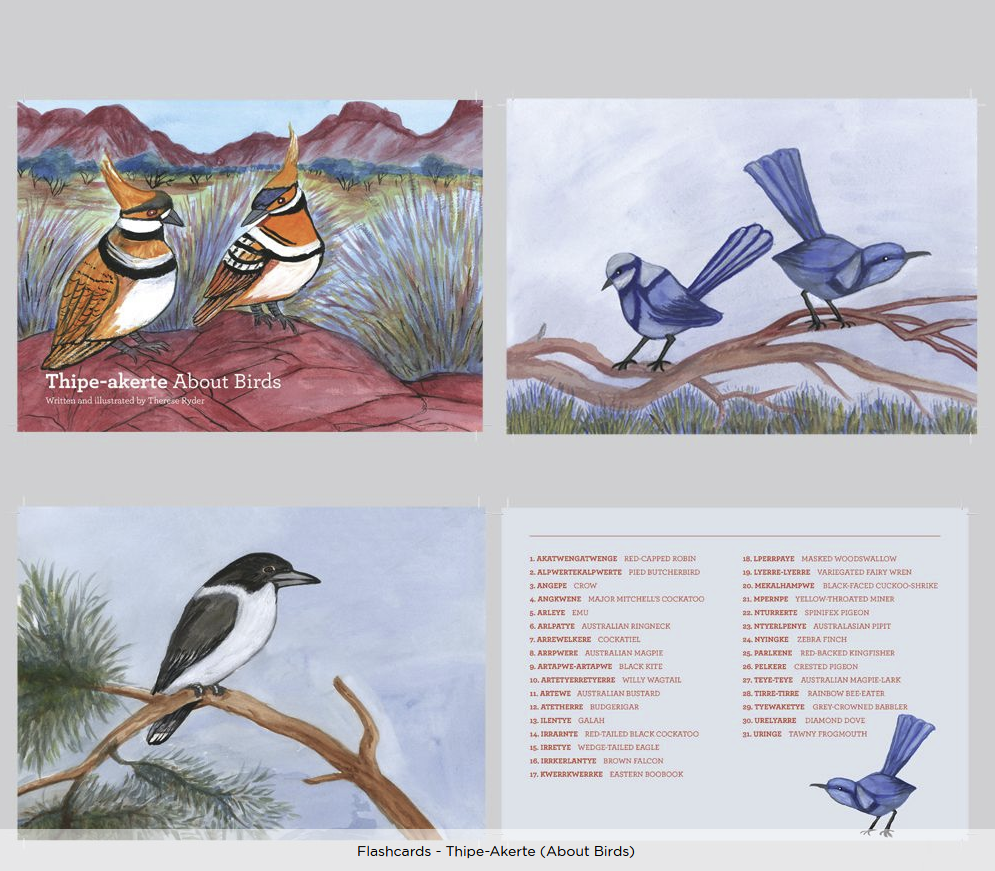  Thipe-akerte (About Birds) Flashcards - Therese Ryder