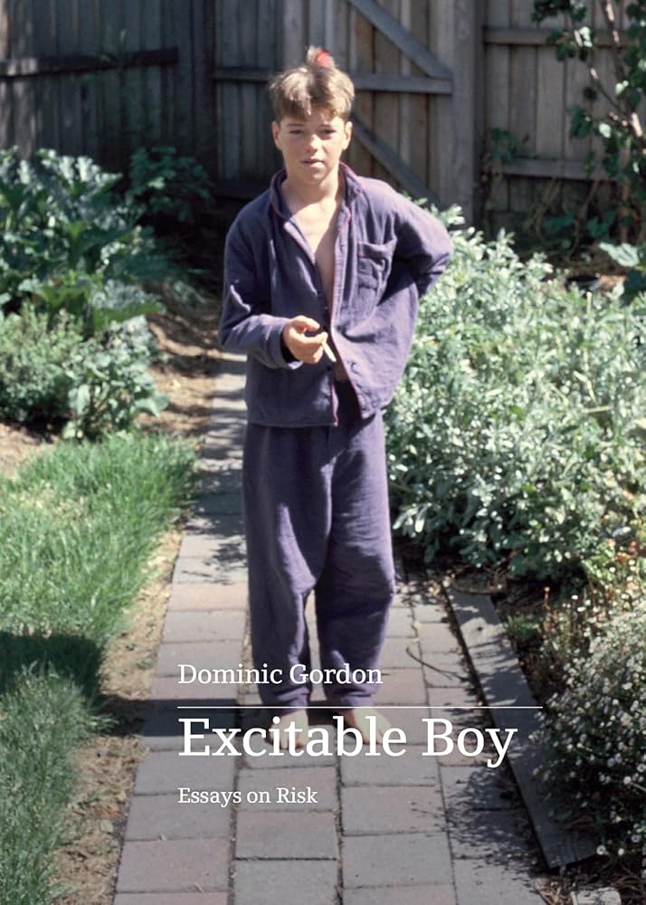 Excitable Boy cover image