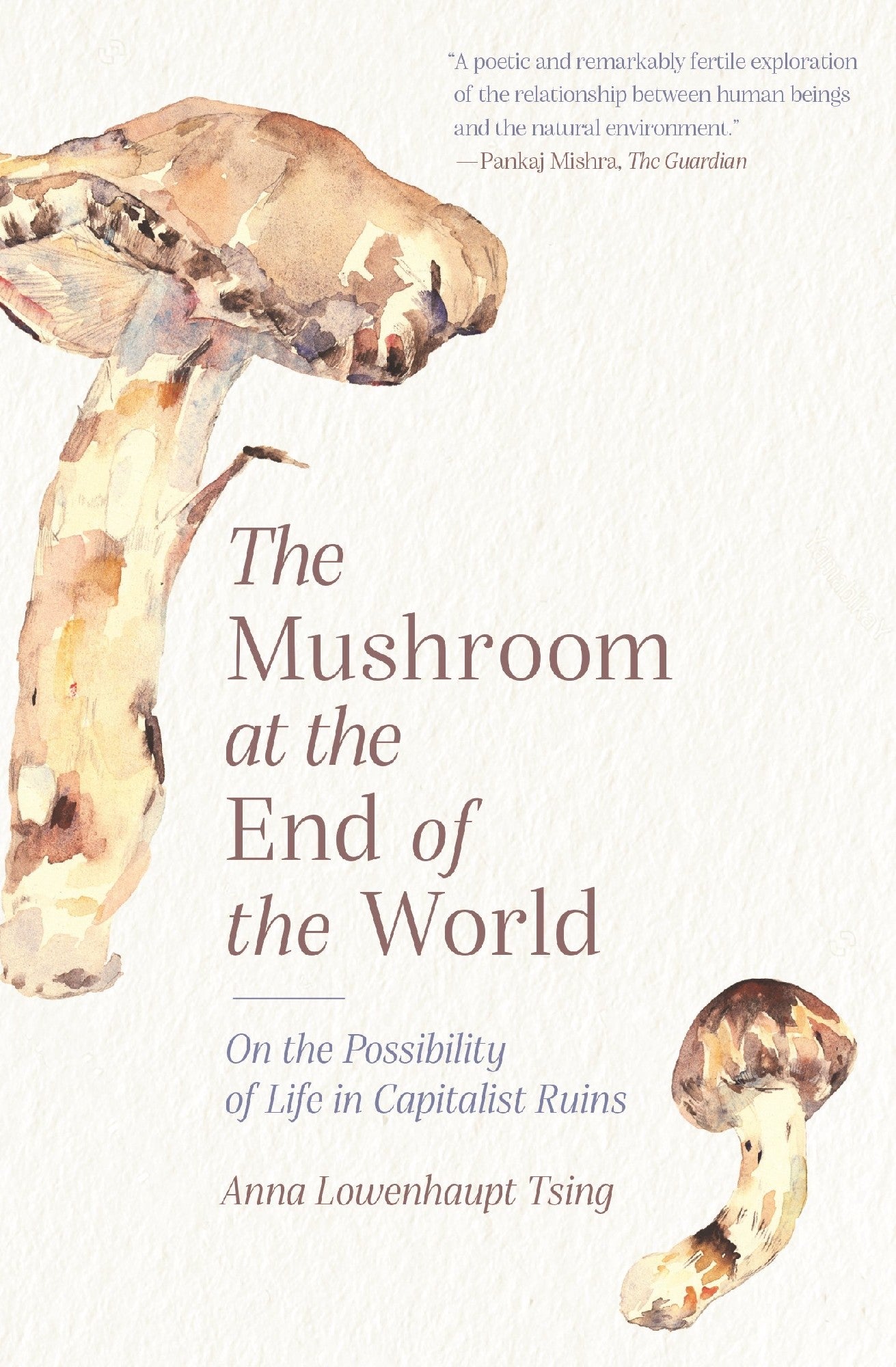 The Mushroom at the End of the World by Anna Lowenhaupt Tsing