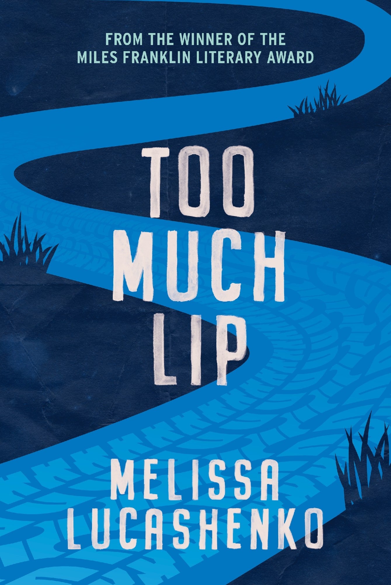 Too Much Lip by Melissa Lucashenko 