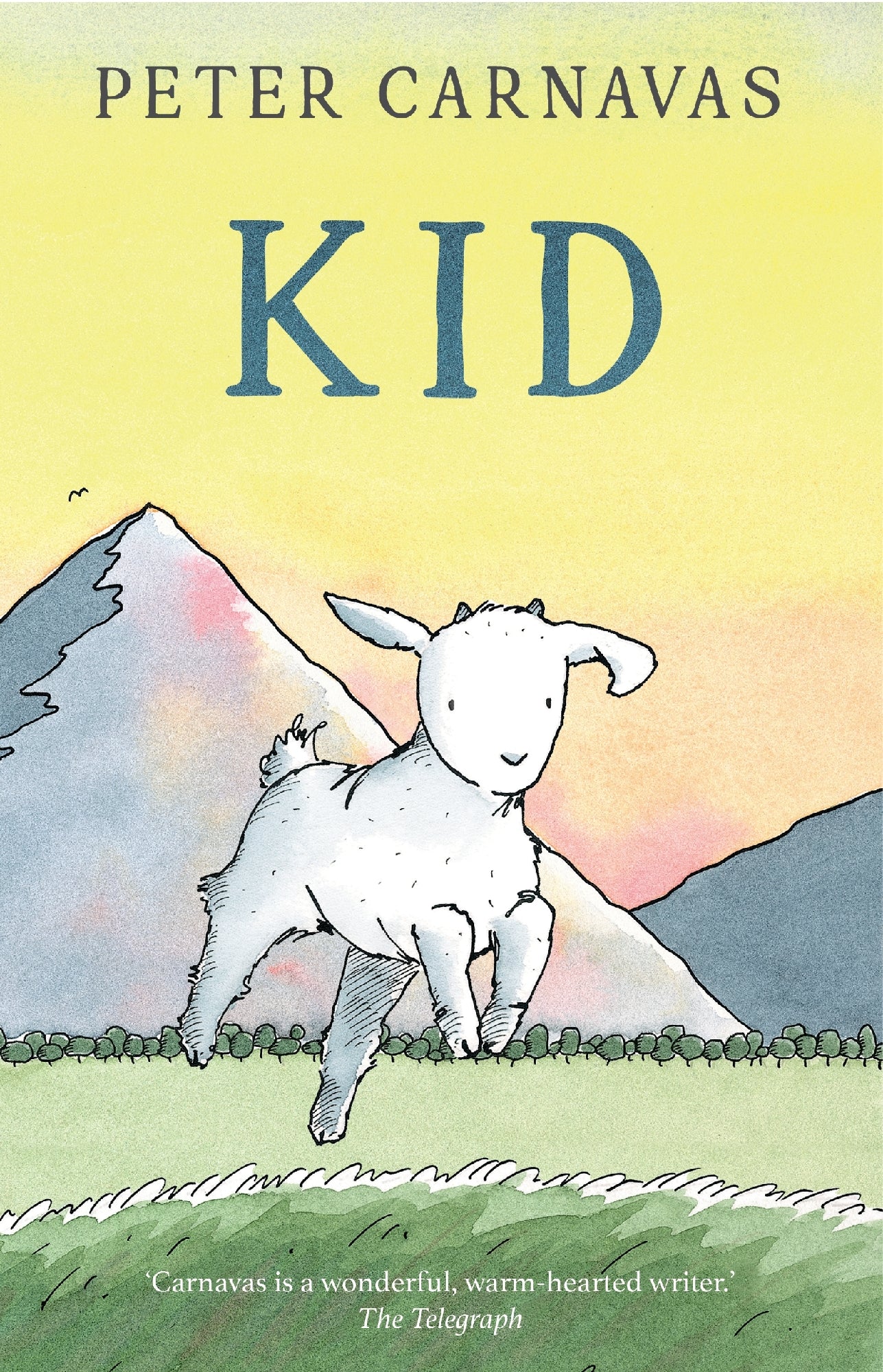 Kid by Peter Carnavas (out 2 June 2026)
