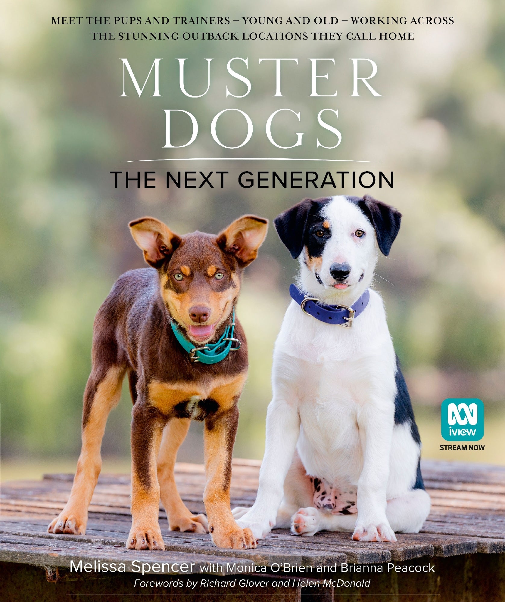 Muster Dogs by Melissa Spencer, Monica O'Brien, and Brianna Peacock (out 28 October 2025) 