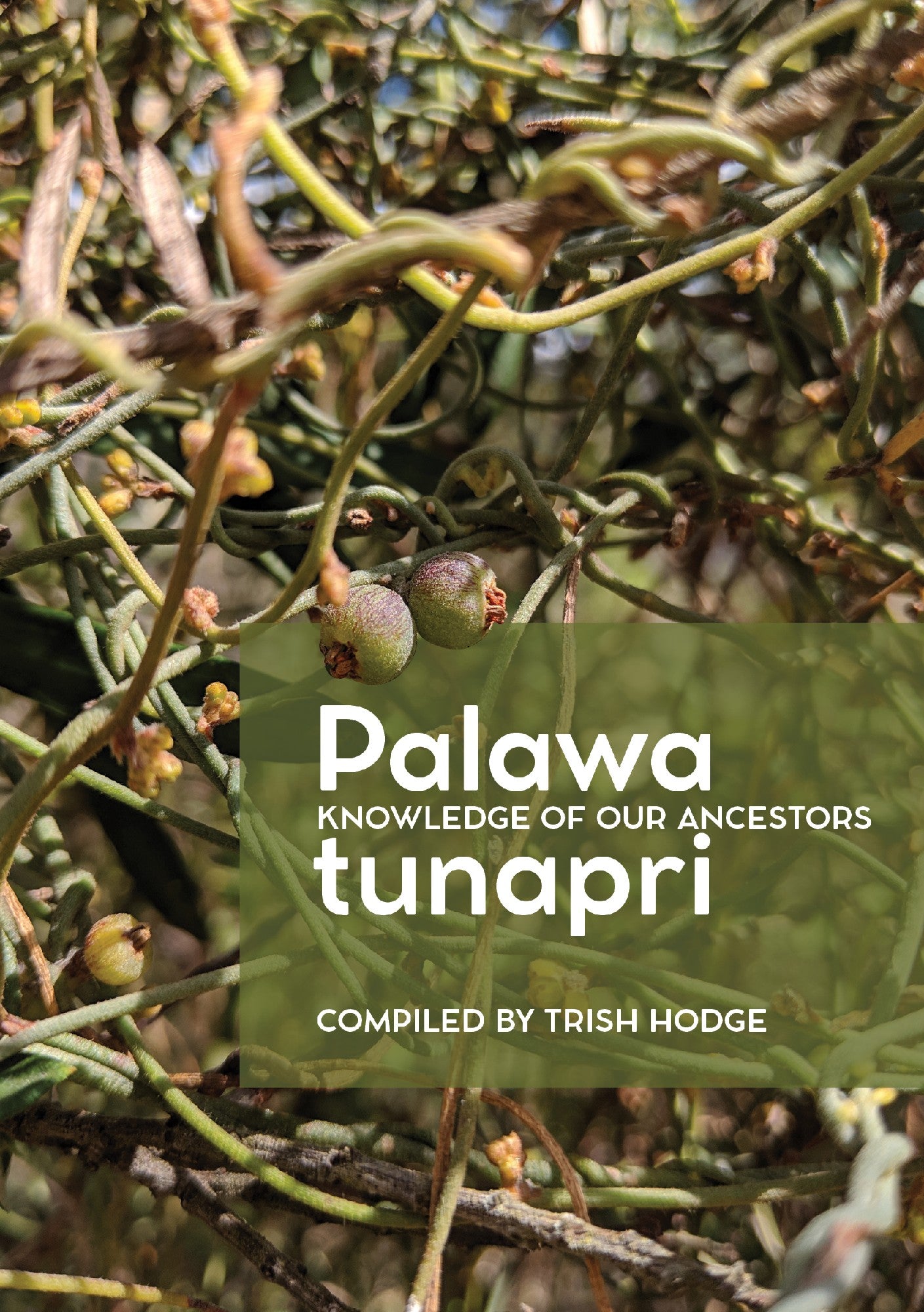 Palawa tunapri - Knowledge of Our Ancestors