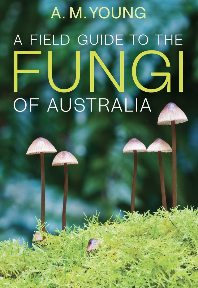 A Field Guide to the Fungi of Australia by A. M. Young, illustrated by Kay Smith