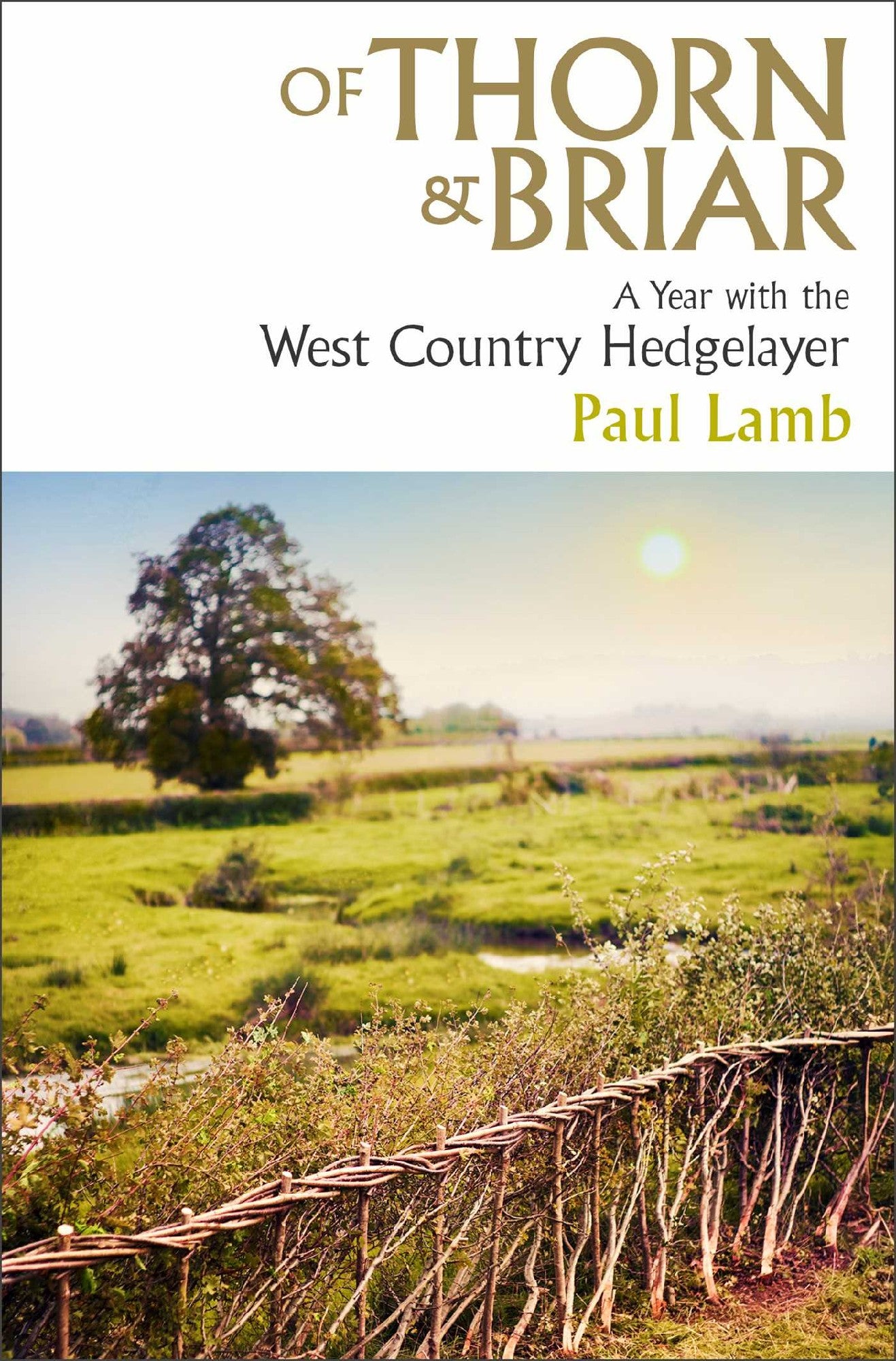 Of Thorn & Briarm by Paul Lamb
