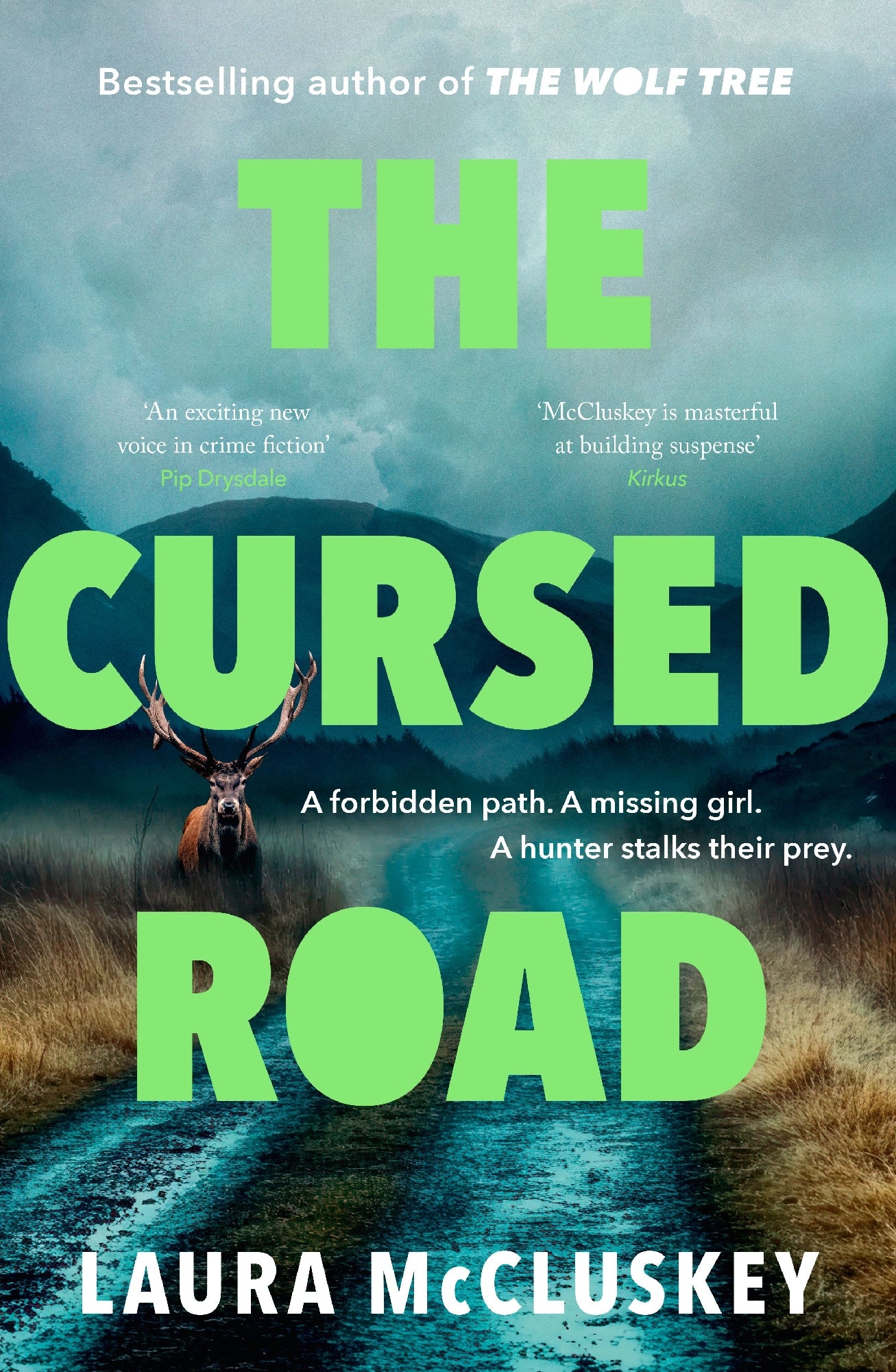 The Cursed Road by Laura McCluskey