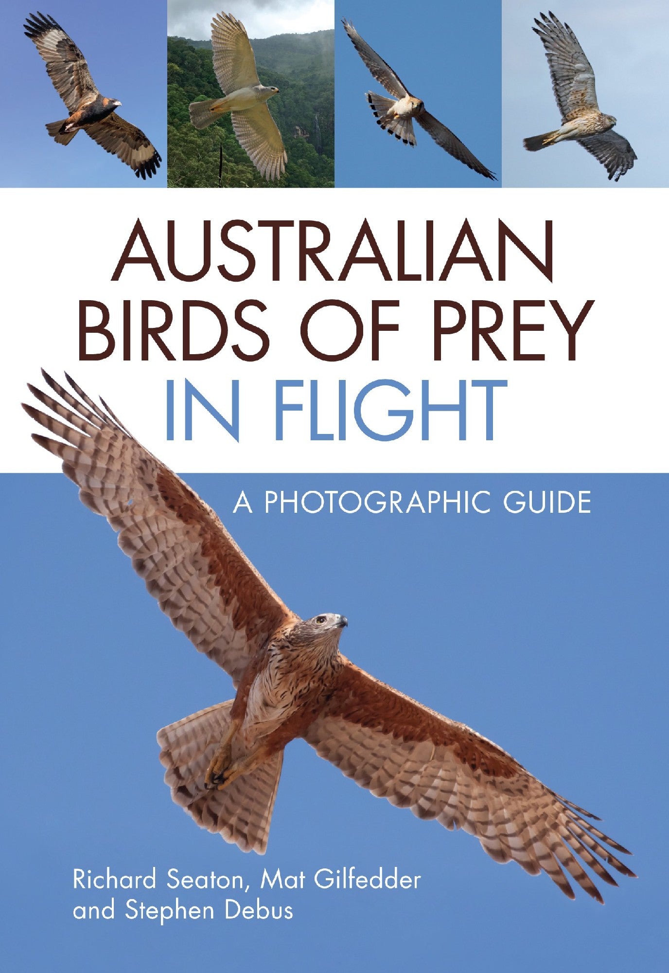 Australian Birds of Prey in flight by Richard Seaton, Mat Gilfedder & Stephen Debus