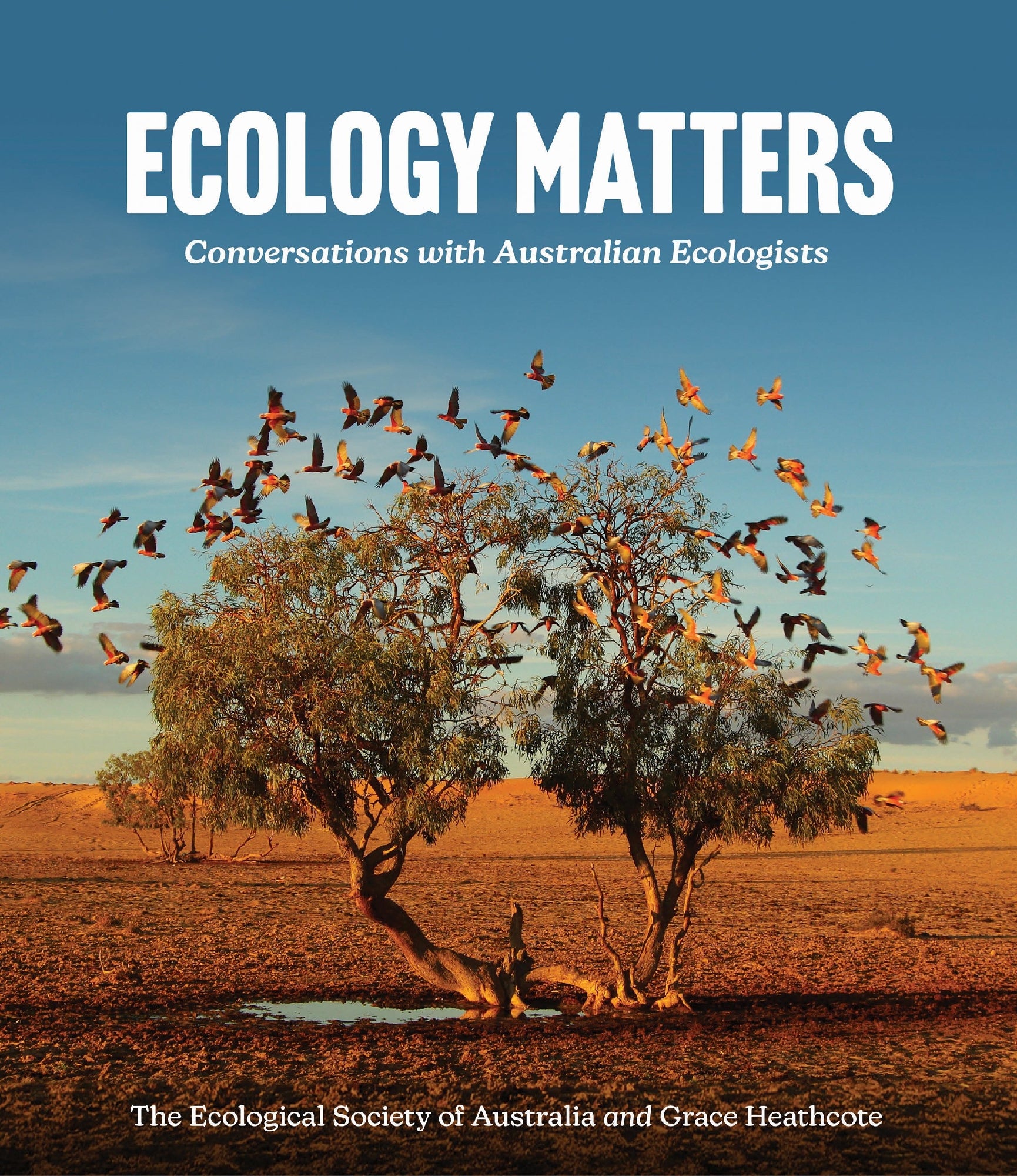 Ecology Matters by Grace Heathcote