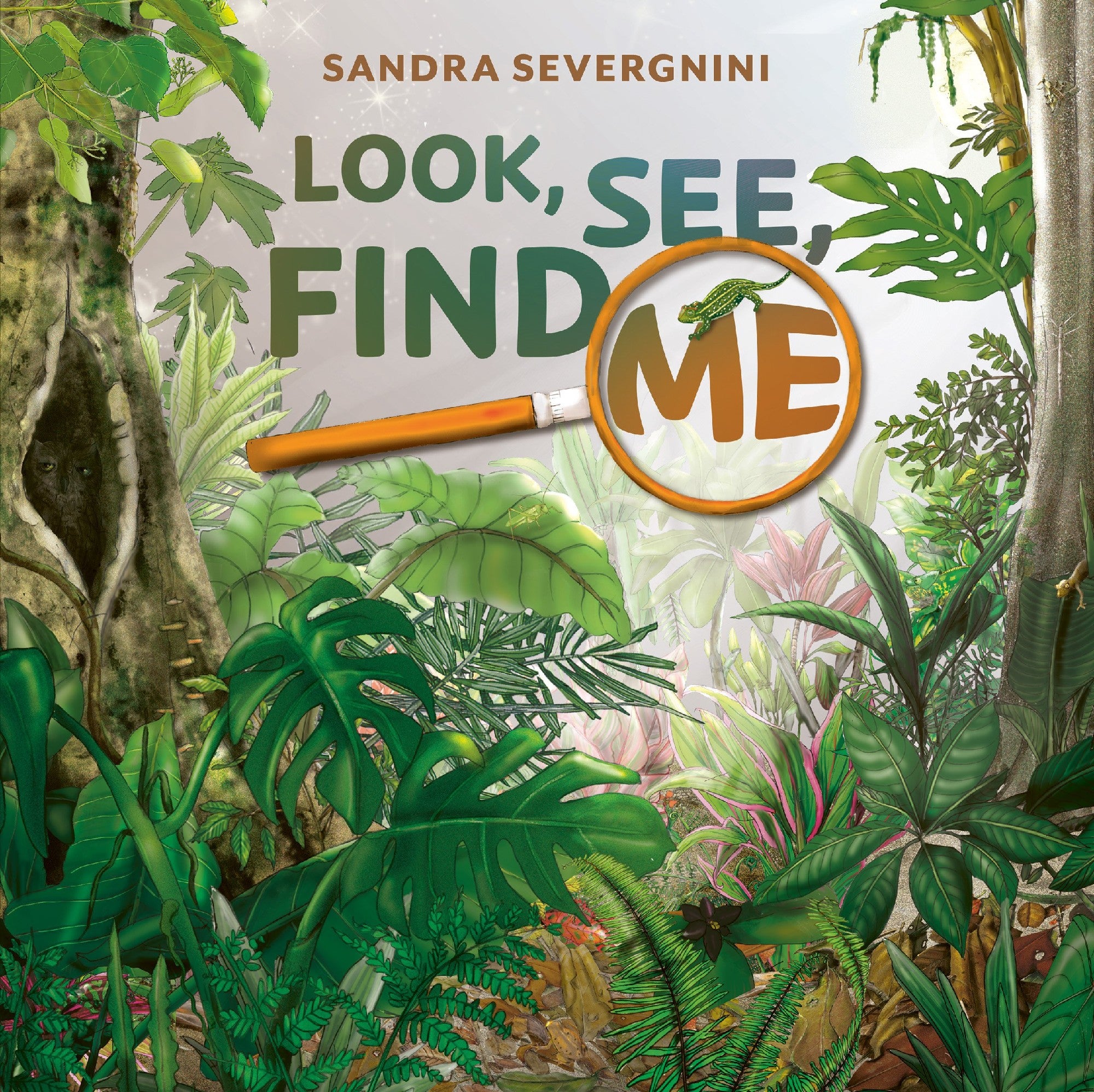 Look, See, Find Me by Sandra Severgnini (out 3 November 2025) 