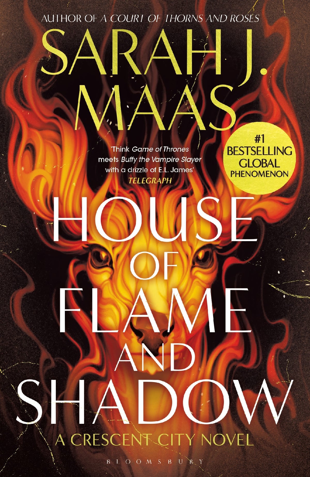 House of Flame and Shadow (Crescent City Book 2) by Sarah J. Maas