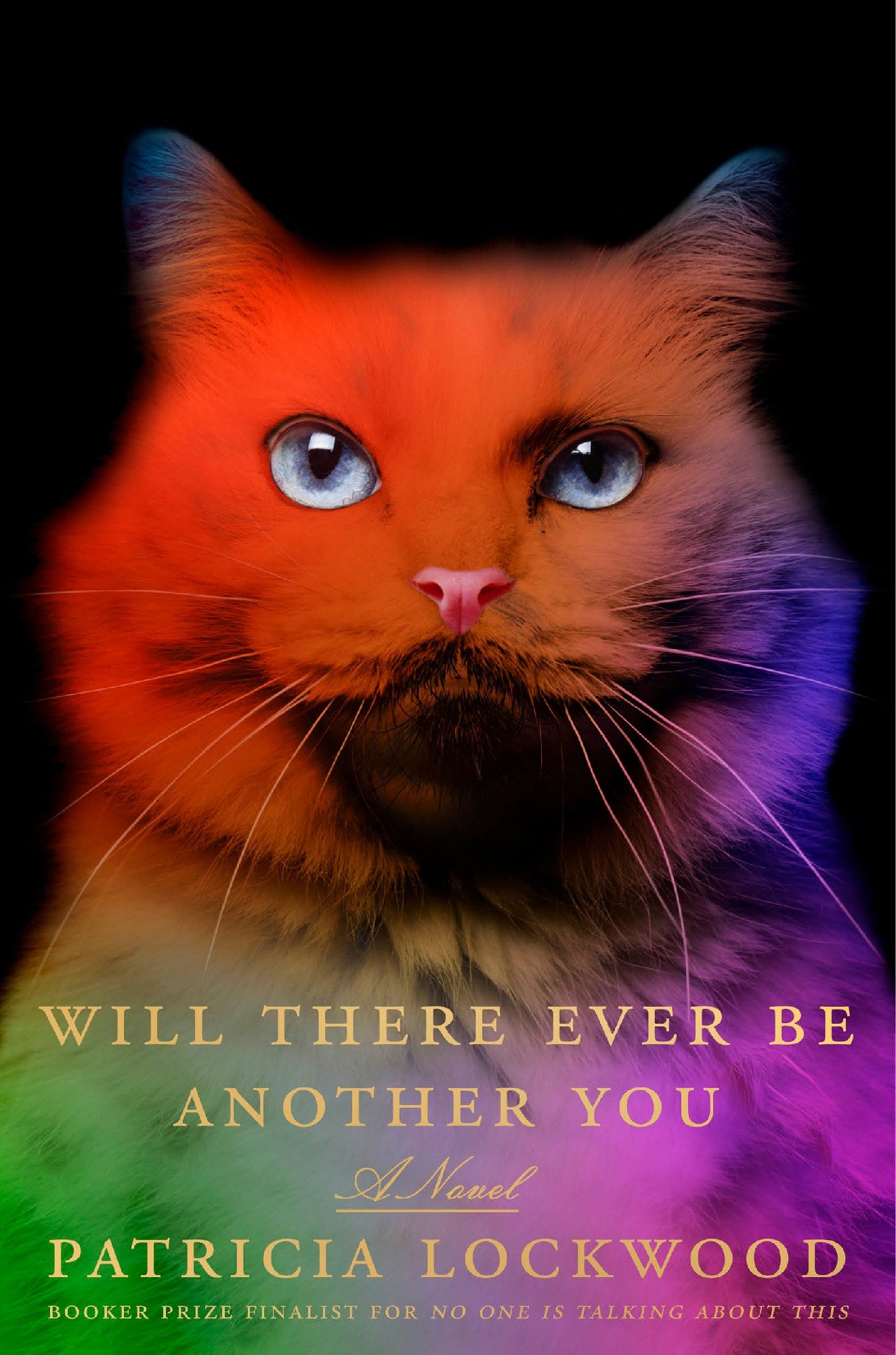Will There Ever Be Another You by Patricia Lockwood (30 Sep 2025) 