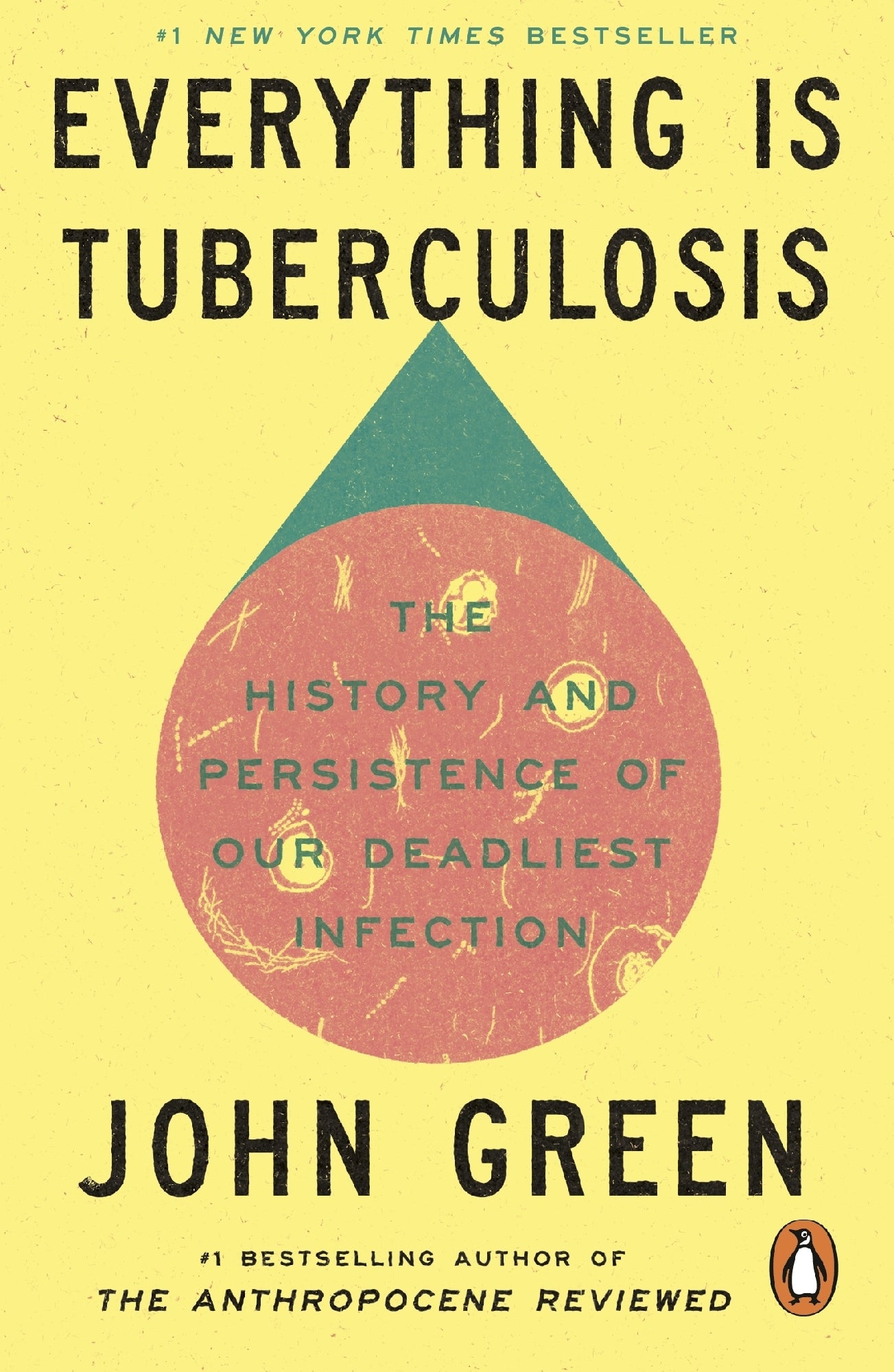 Everything Is Tuberculosis by John Green