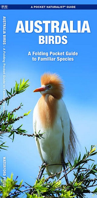 Australian Birds A Folding Pocket Guide to Familiar Species 