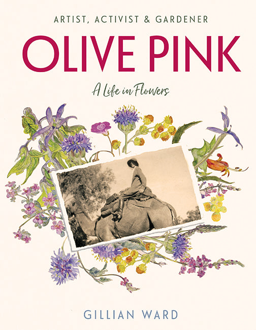 Olive Pink by Gillian Ward