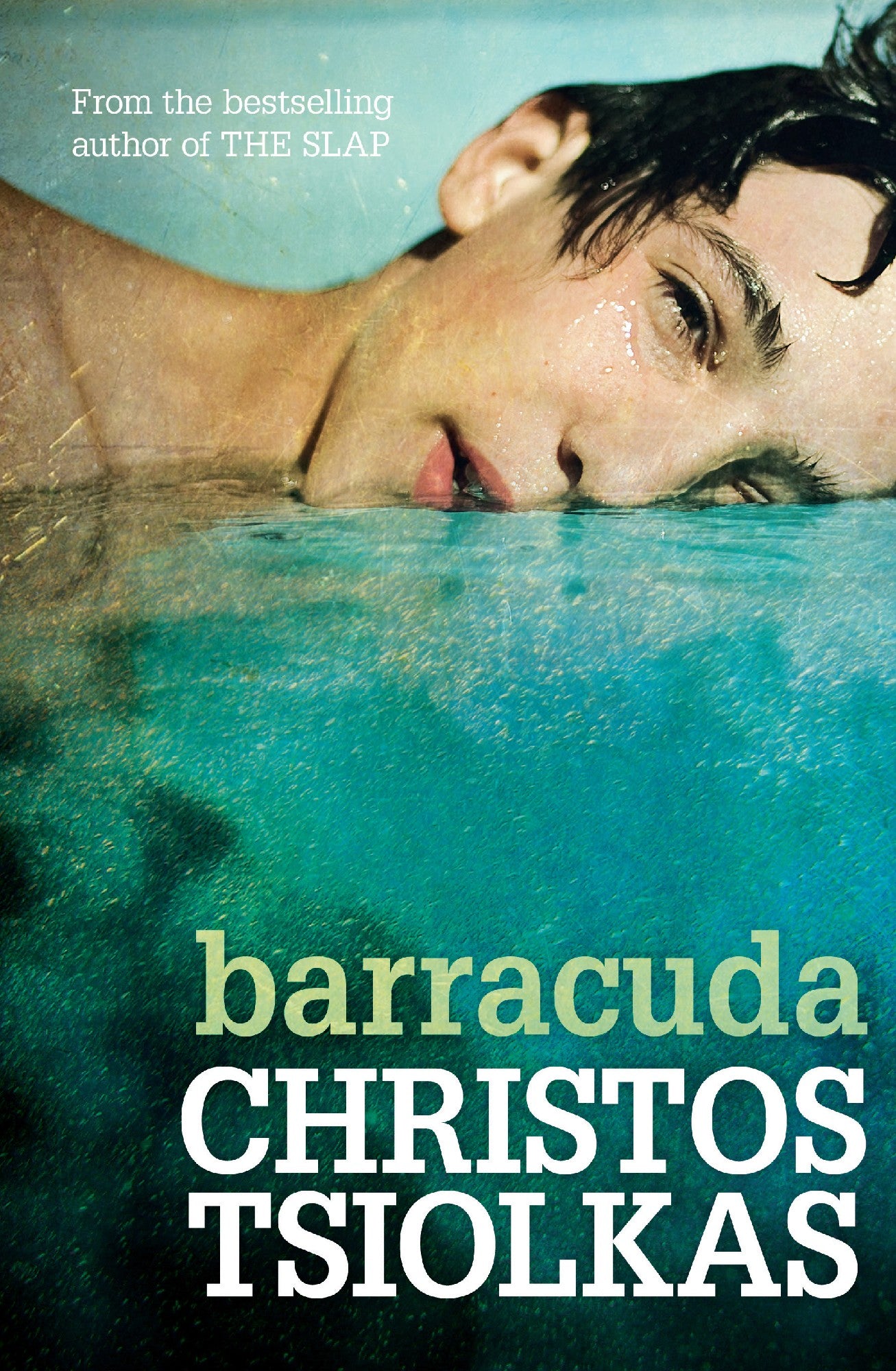 Barracuda by Christos Tsiolkas