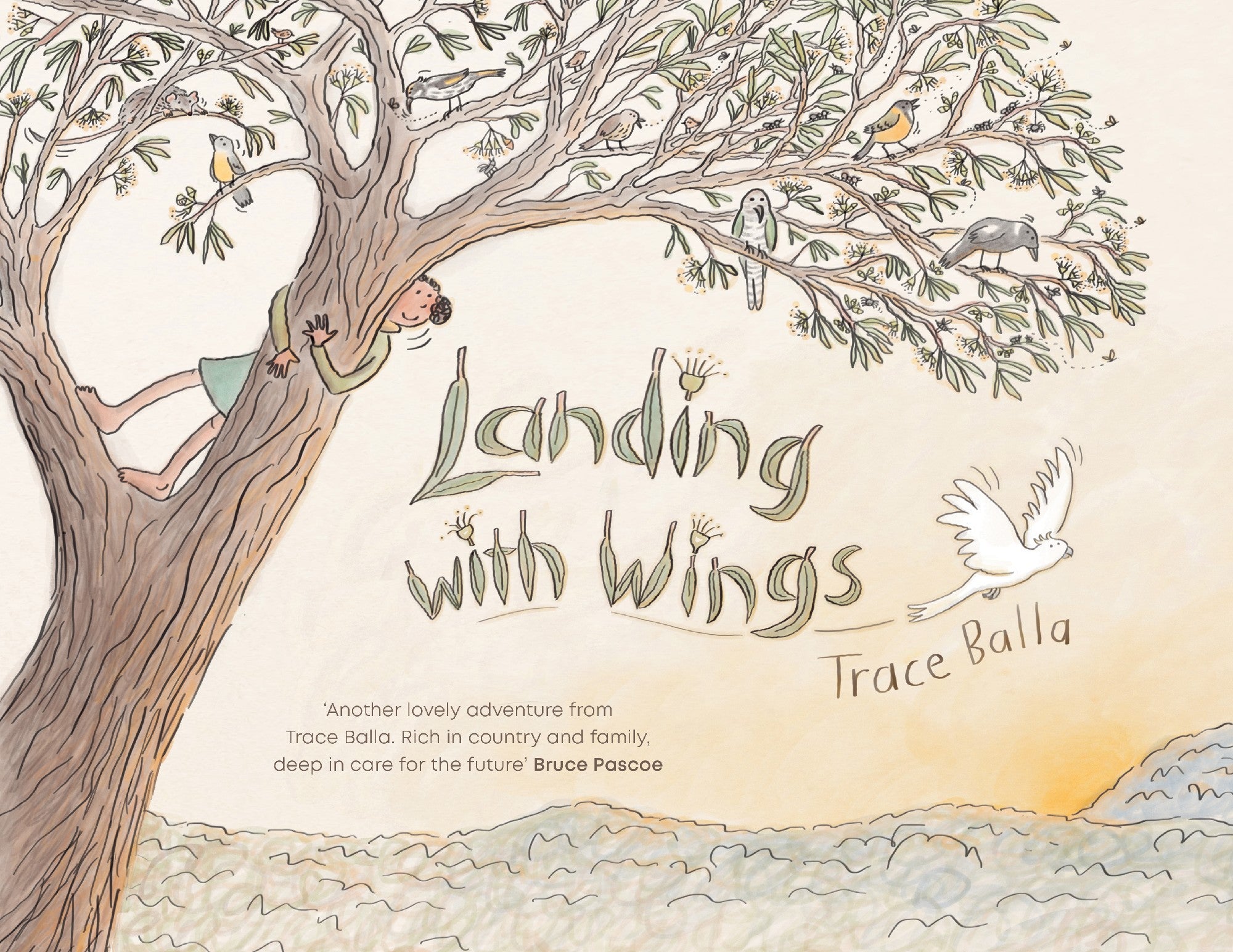 Landing with Wings by Trace Balla