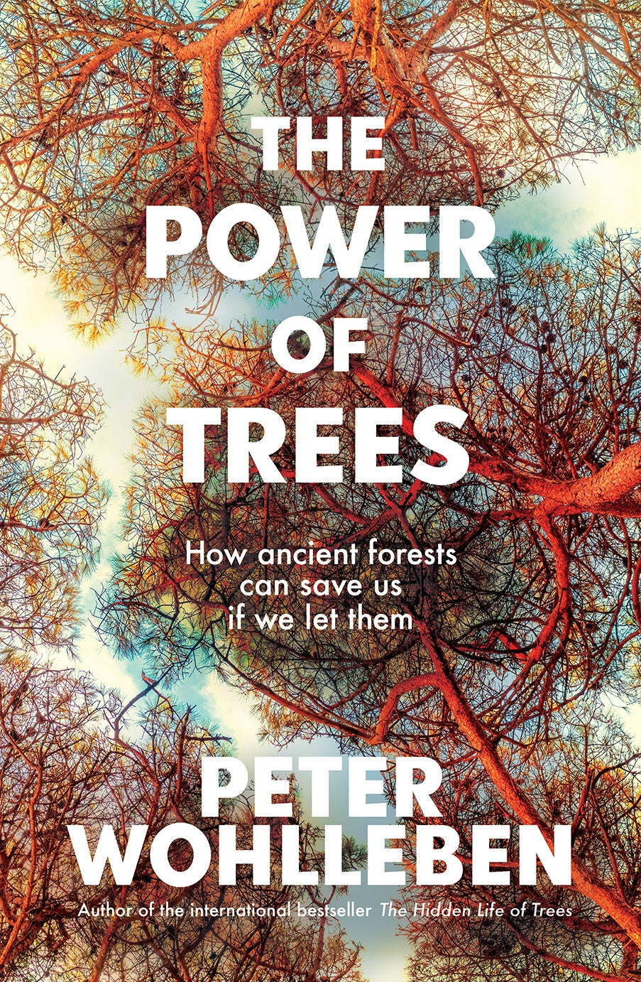 The Power of Trees by Peter Wohlleben 