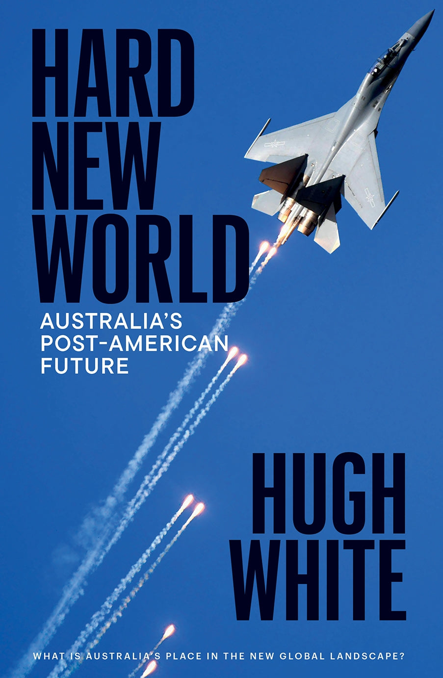 Hard New World by Hugh White