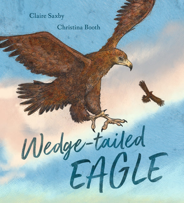 Wedge-tailed Eagle by Claire Saxby