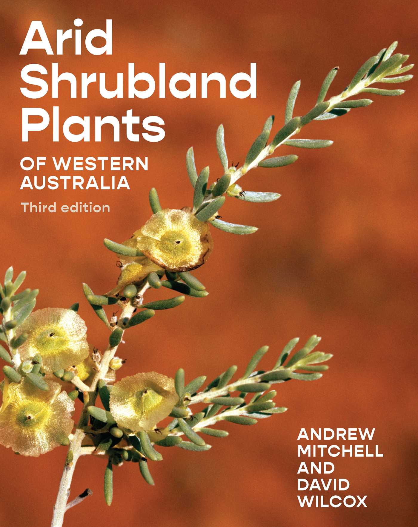Arid Shrubland Plants by Andrew Mitchel and Daid Wilcox