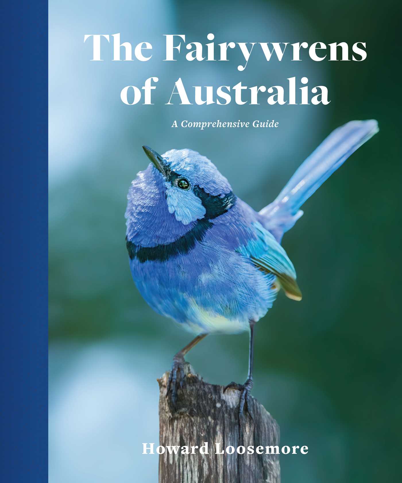 Fairywrens of Australia by Howard Loosemore
