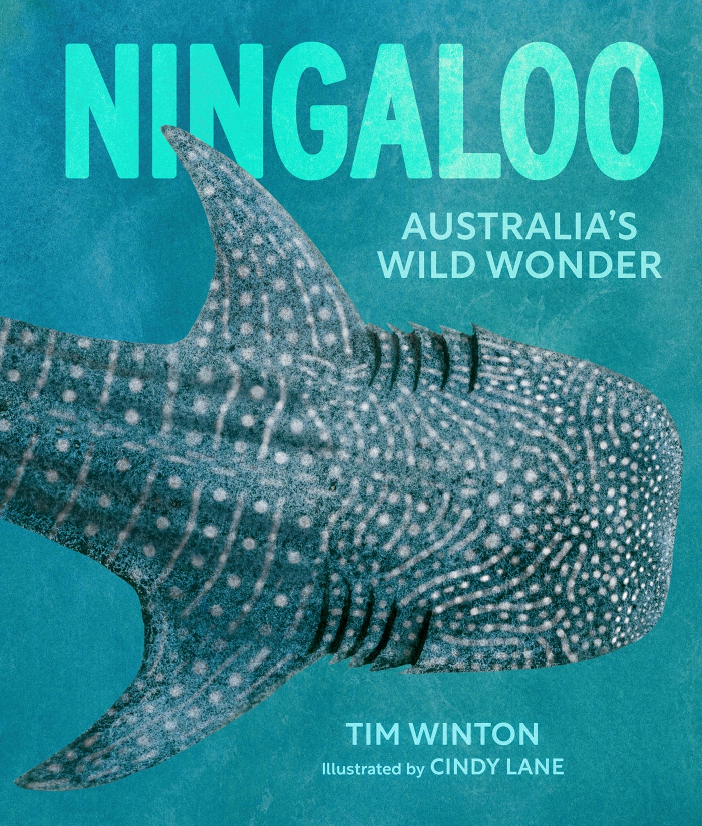 Ningaloo: Australia's Wild Wonder by Tim Winton and Cindy Lane 