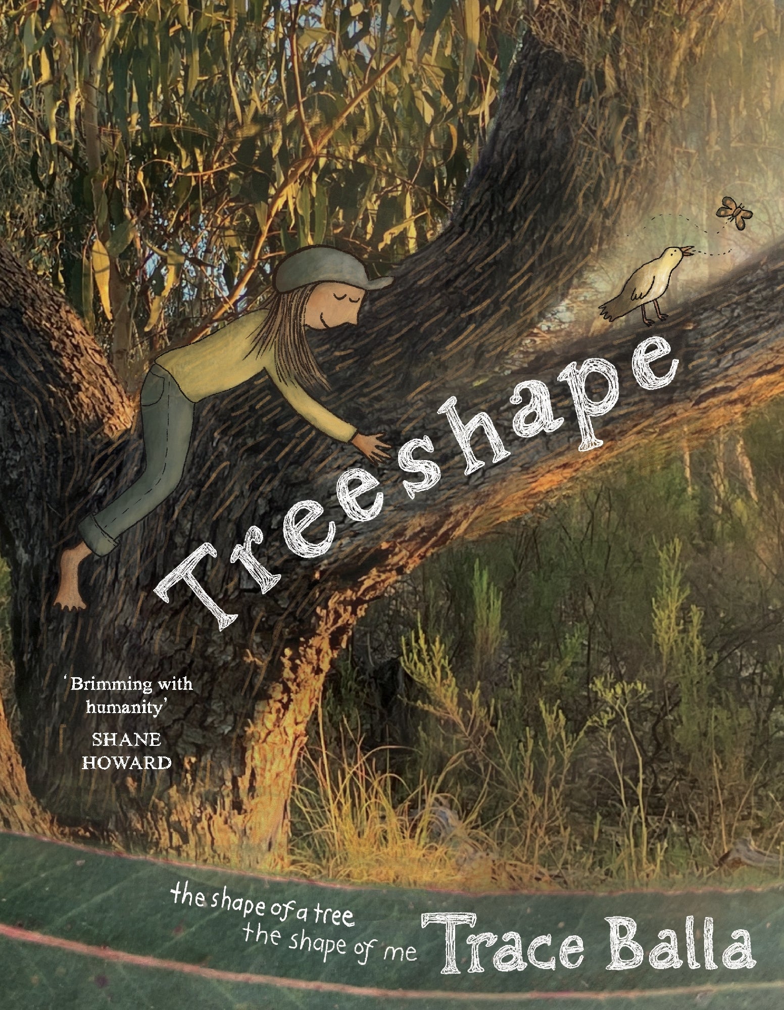 Treeshape by Trace Balla