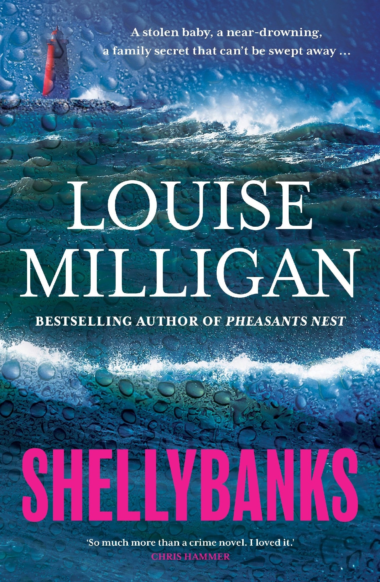 Shellybanks by Louise Milligan