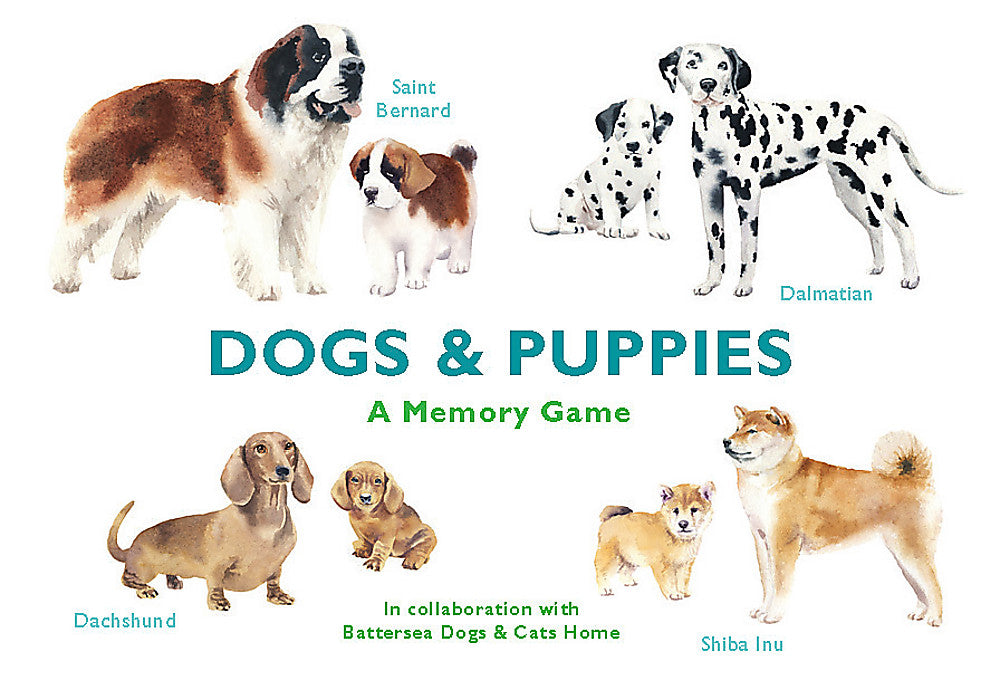 Dogs & Puppies by Battersea Dogs & Cats Home