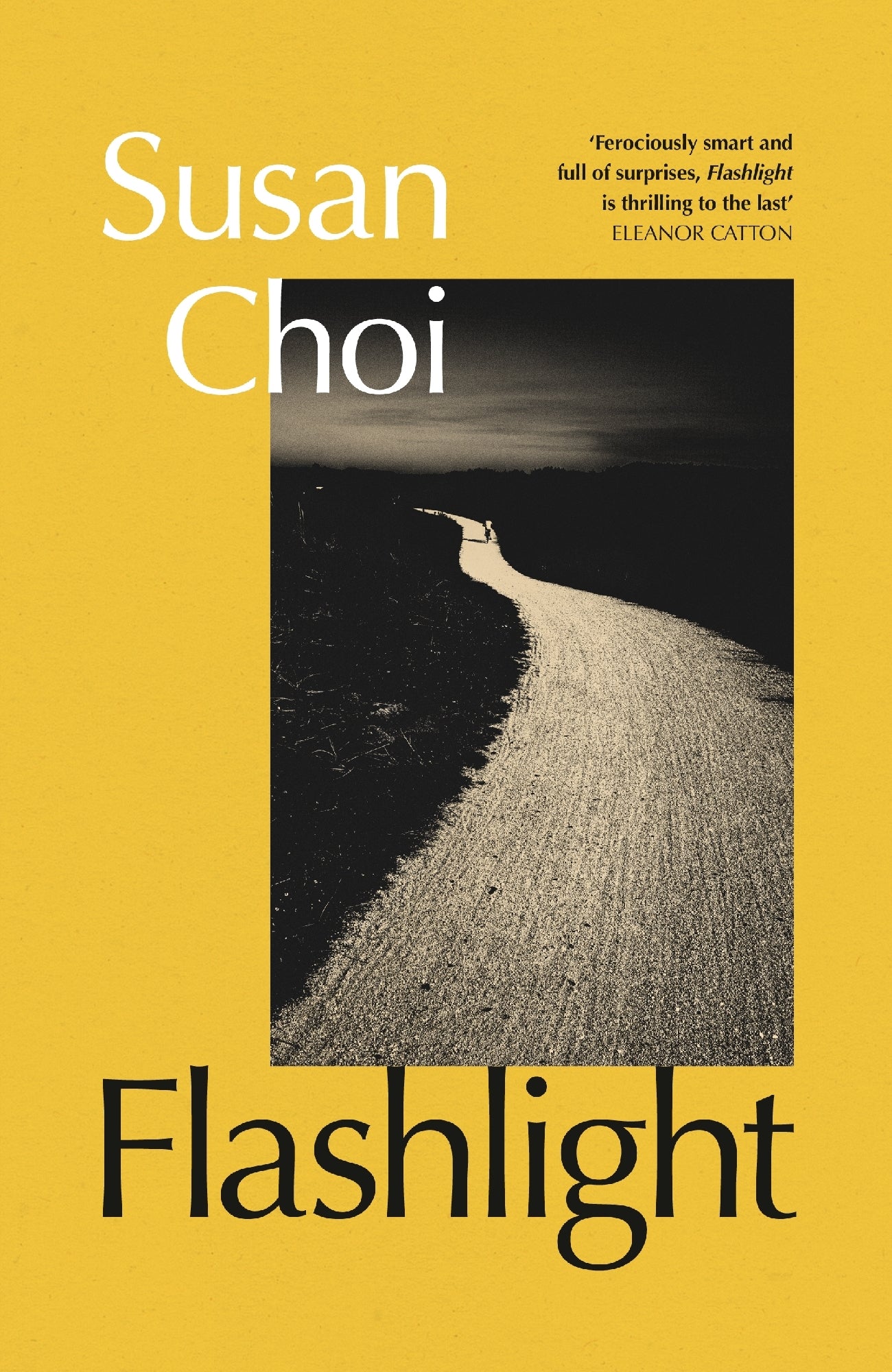 Flashlight by Susan Choi 