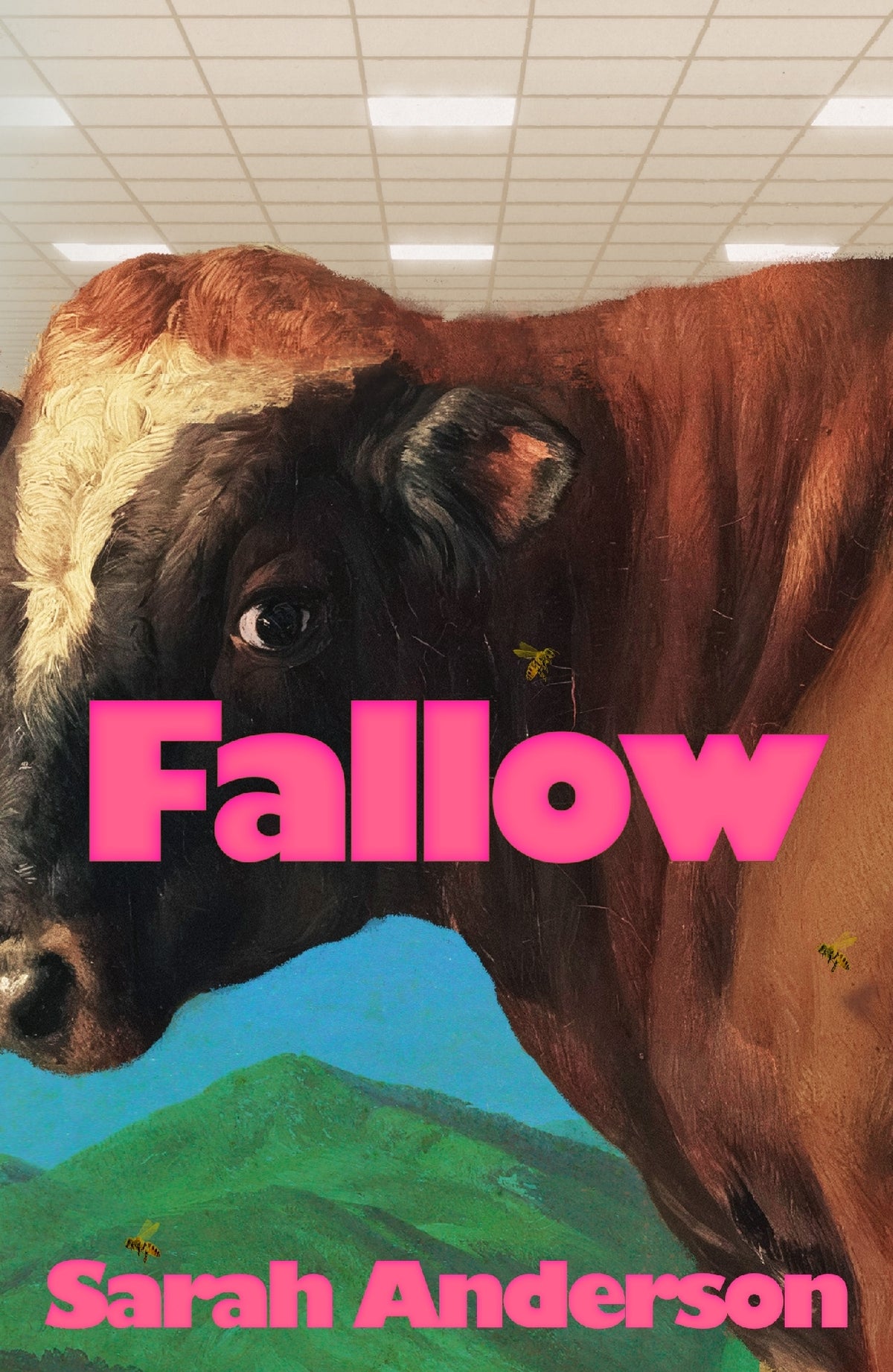 Fallow by Sarah Anderson (out 26 January 2027)