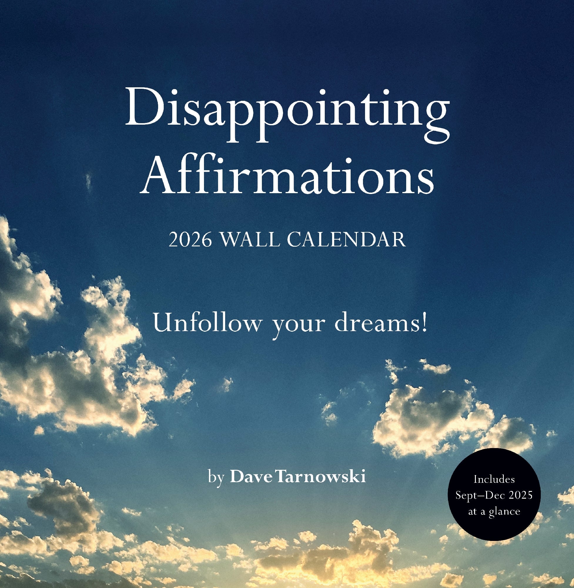 Disappointing Affirmations 2026 Wall Calendar 