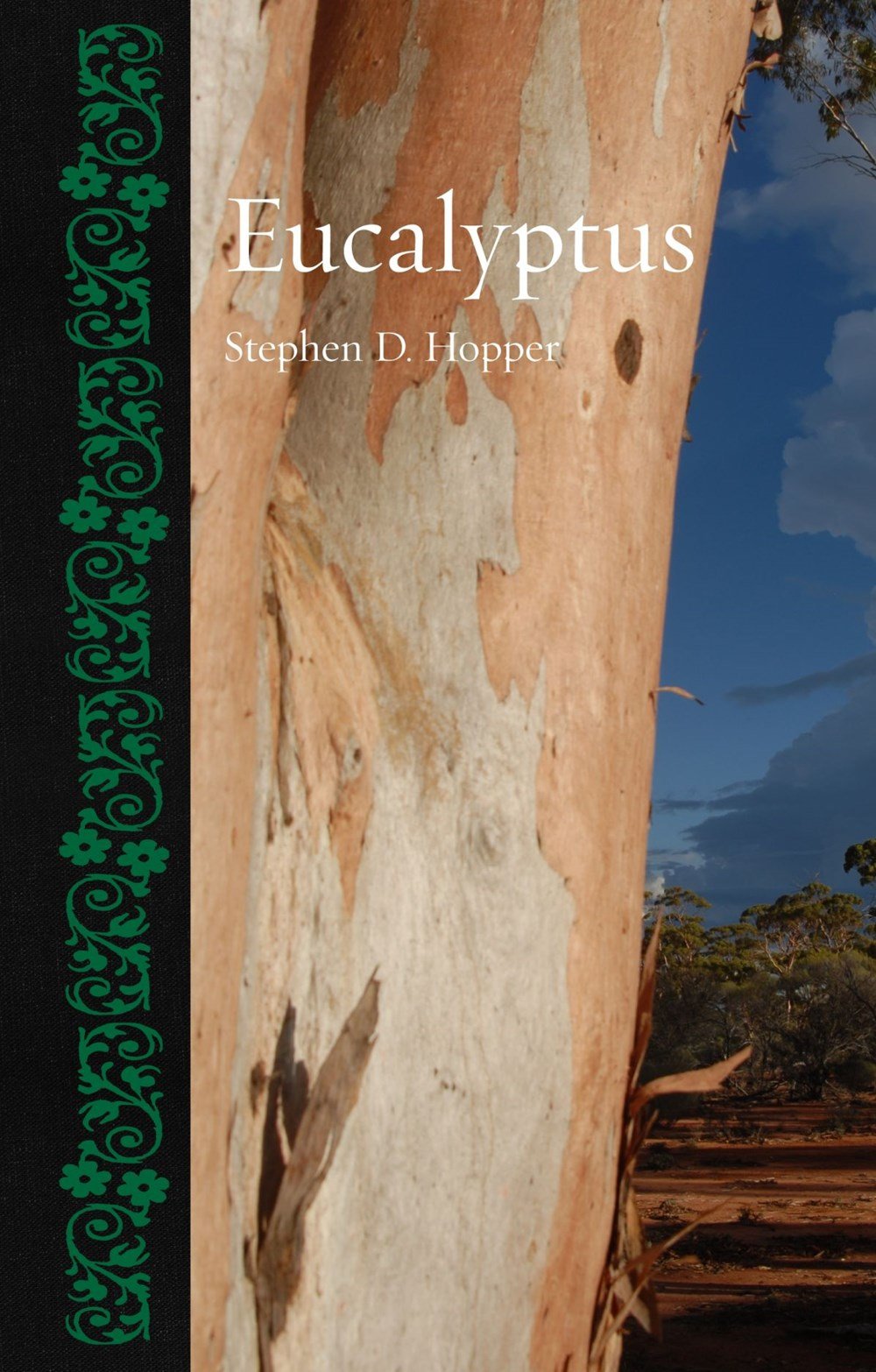 Eucalyptus by Stephen Hopper