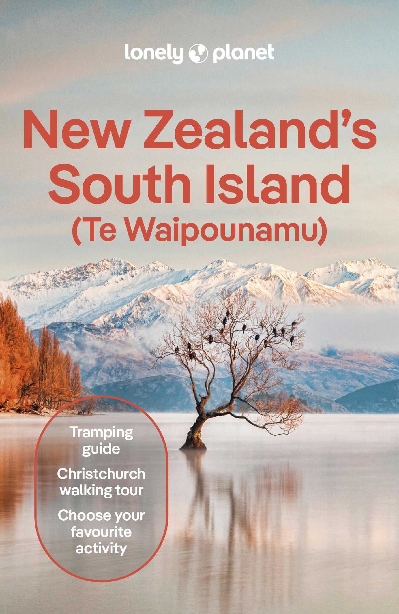 Lonely Planet New Zealand's South Island by Elen Turner