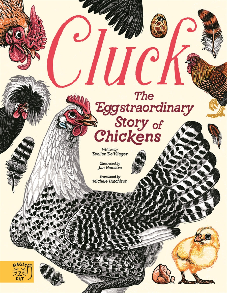 Cluck!: The Eggstraordinary Story of Chickens by Evelien De Vlieger / Illustrated by Jan Hamstra and Michele Huchison