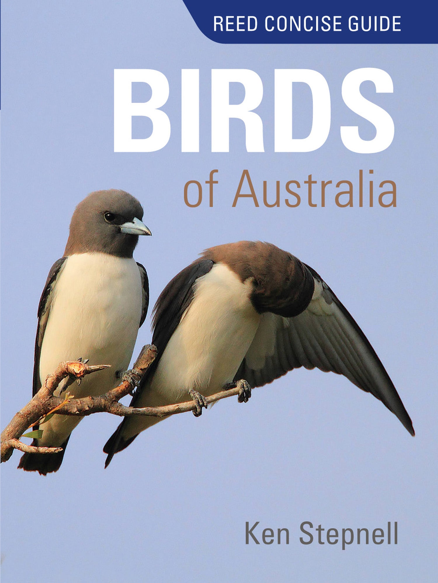 Birds of Australia REED NEW ISBN by Ken Stepnell 