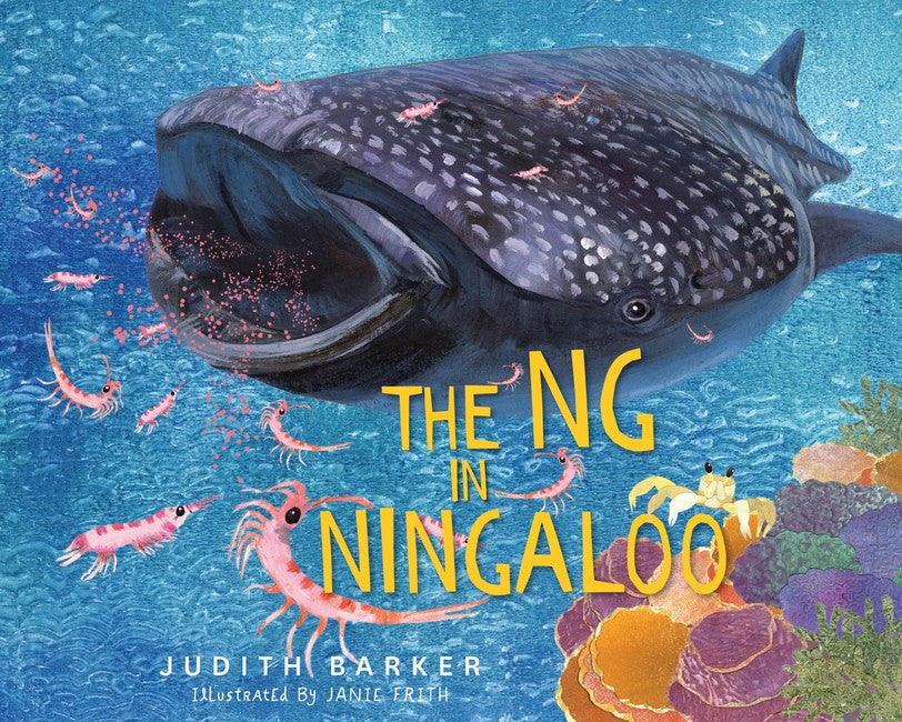 The NG in Ningaloo (PB) by Judith Barker