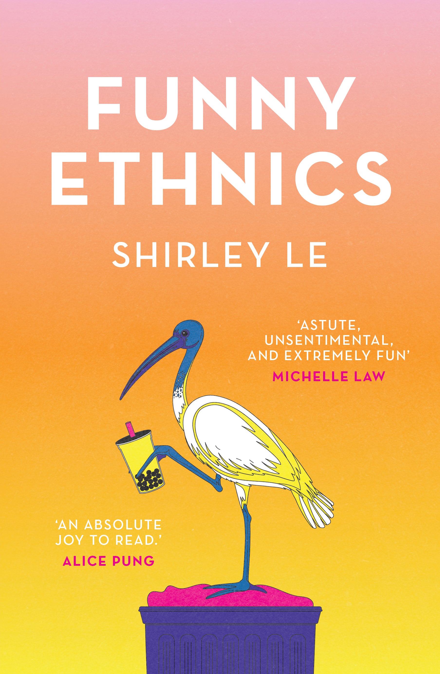 Funny Ethnics by Shirley Le