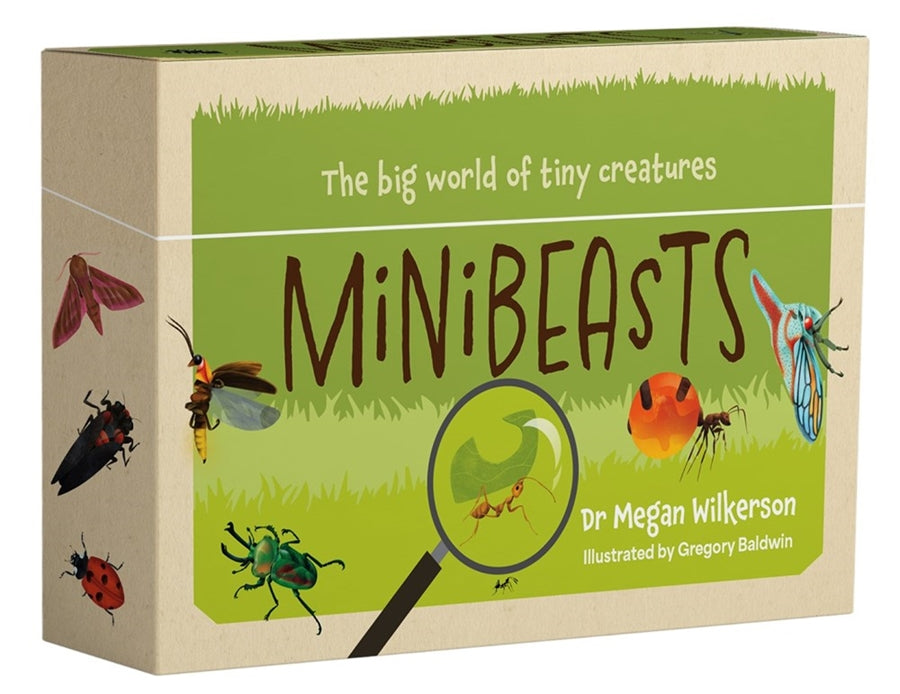 Minibeasts by Gregory Baldwin