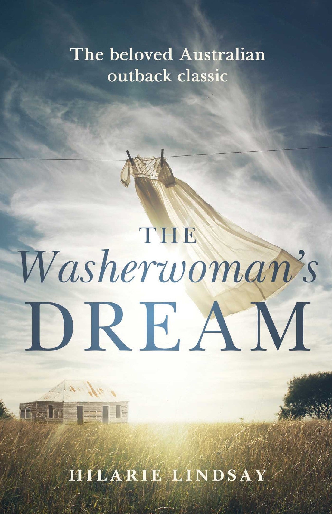 Washerwoman's Dream by Hilarie Lindsay 