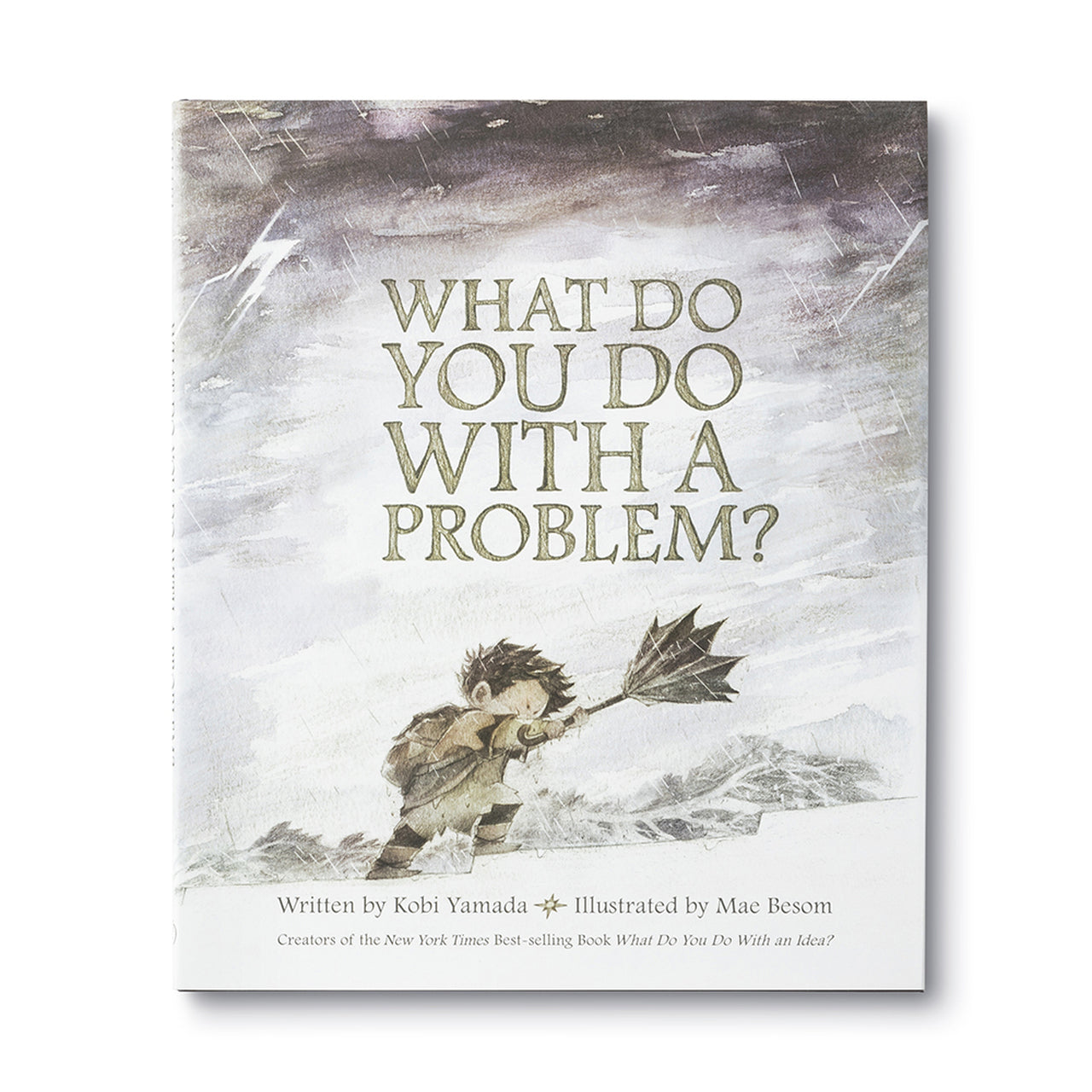 What Do You Do with a Problem? by Kobi Yamada / Illustrated by Mac Besom