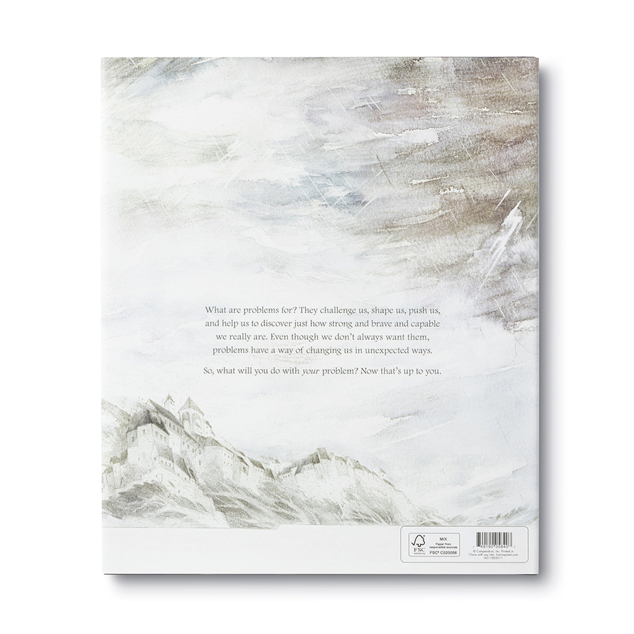 What Do You Do with a Problem? by Kobi Yamada / Illustrated by Mac Besom