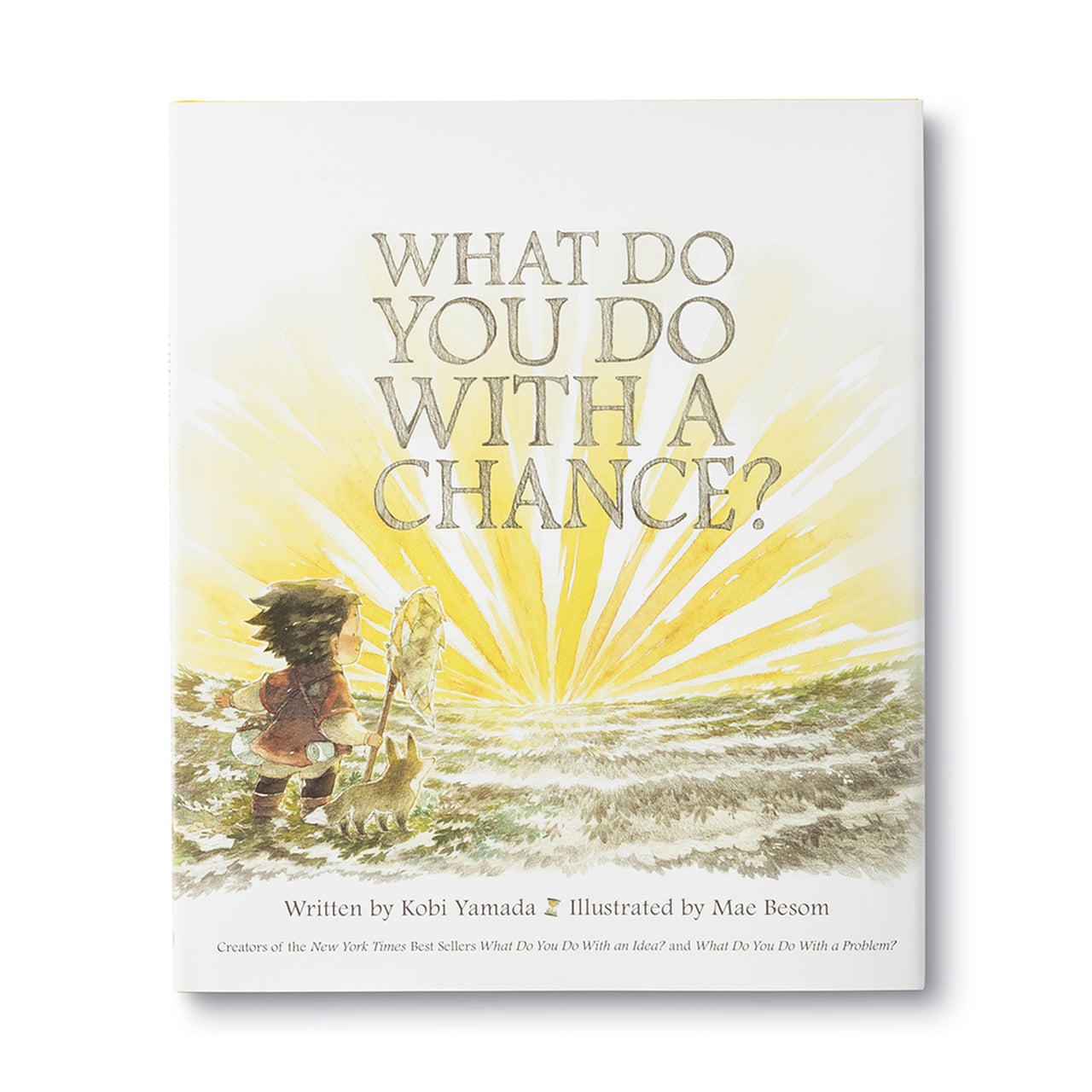 What Do You Do with a Chance by Kobi Yamada / Illustrated by Mac Besom