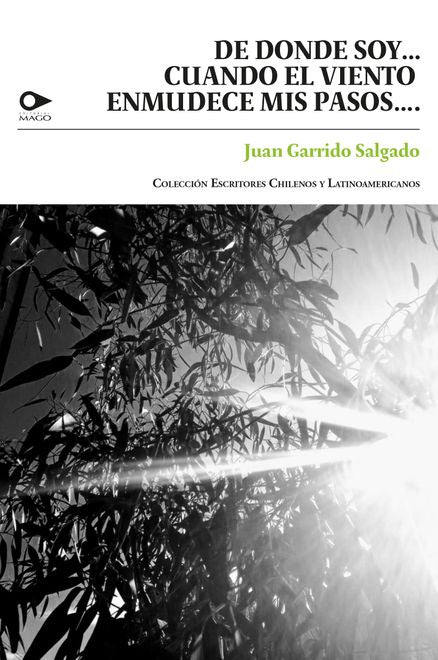 De Donde Soy... Cuando El Viento Enmudece Mis Pasos... by Juan Garrido Salgado