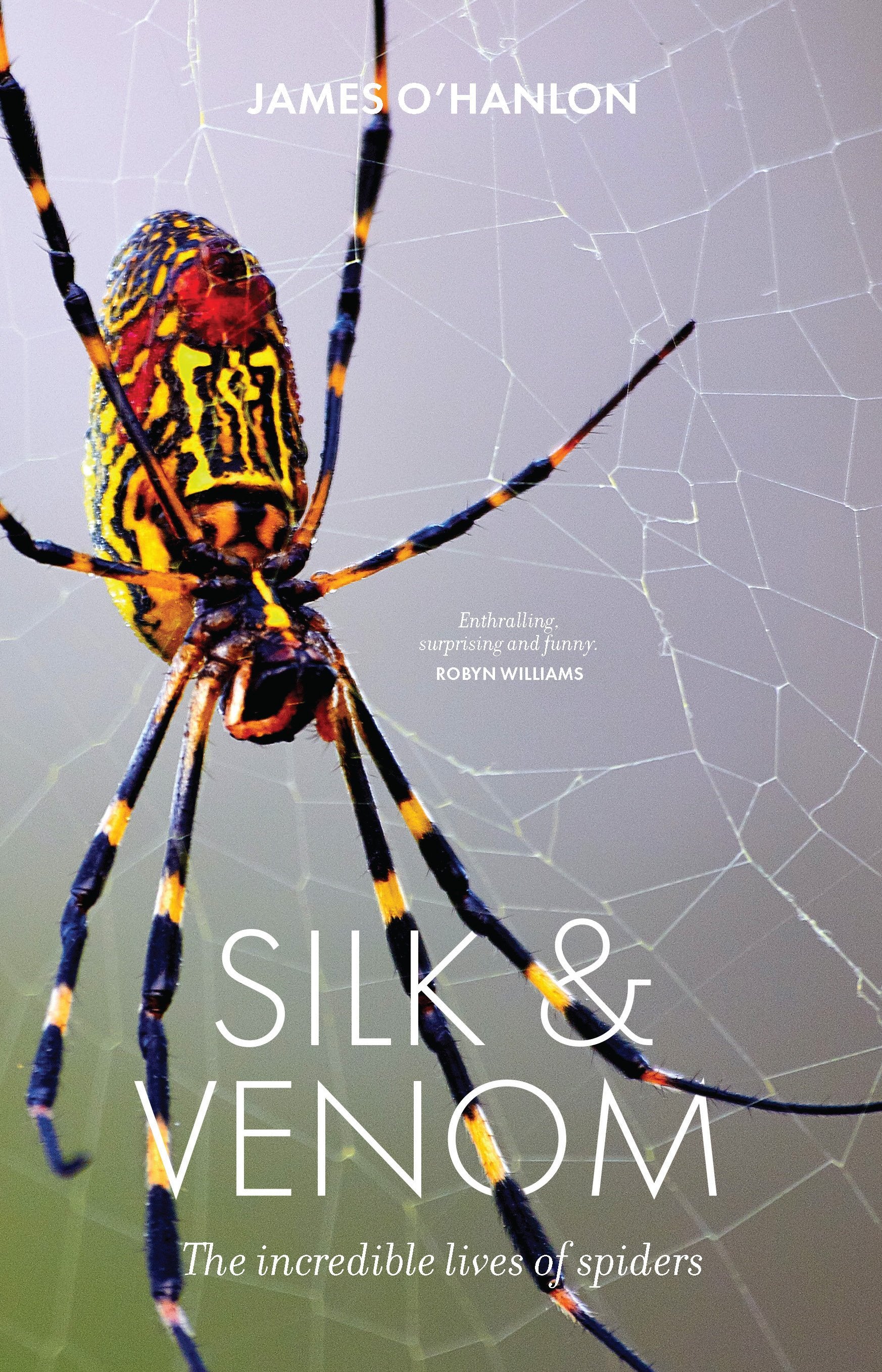 Silk & Venom The incredible lives of spiders by James O'Hanlon