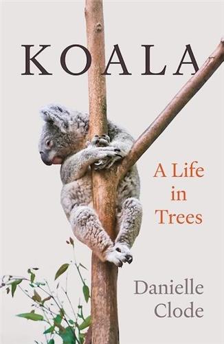 Koala: A Life in Trees by Danielle Clode - Red Kangaroo Books