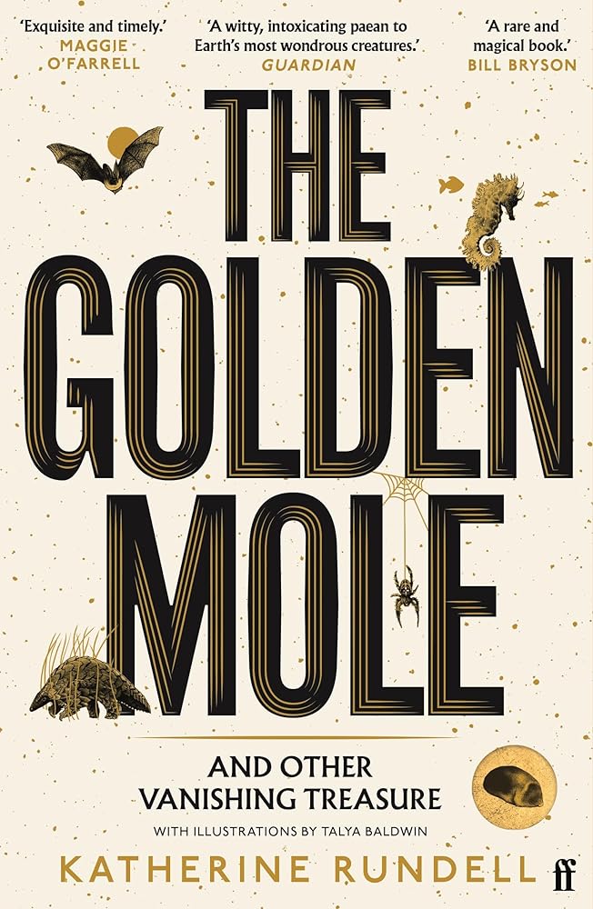 The Golden Mole by Katherine Rundell - Red Kangaroo Books - 9780571362509