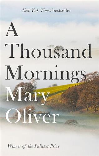 A Thousand Mornings - Red Kangaroo Books